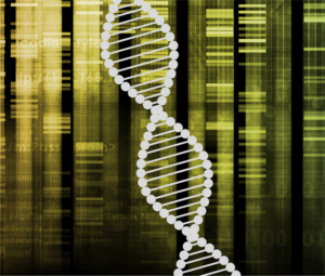 [Projection-débat] Gattaca VOSTFR