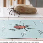 Université de Lorraine, expo sur les Tiques à la faculté de pharmacie/pôle santé-photographies Clotilde Verdenal©l'oeilcreatif