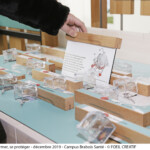 Université de Lorraine, expo sur les Tiques à la faculté de pharmacie/pôle santé-photographies Clotilde Verdenal©l'oeilcreatif