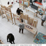 Université de Lorraine, expo sur les Tiques à la faculté de pharmacie/pôle santé-photographies Clotilde Verdenal©l'oeilcreatif