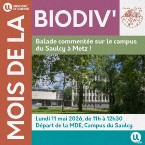 [Mois de la Biodiv&rsquo;] Balade comment&eacute;e et atelier p&eacute;dagogique sur l&rsquo;&Icirc;le du Saulcy !