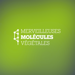 EXPO &bull; Merveilleuses mol&eacute;cules v&eacute;g&eacute;tales