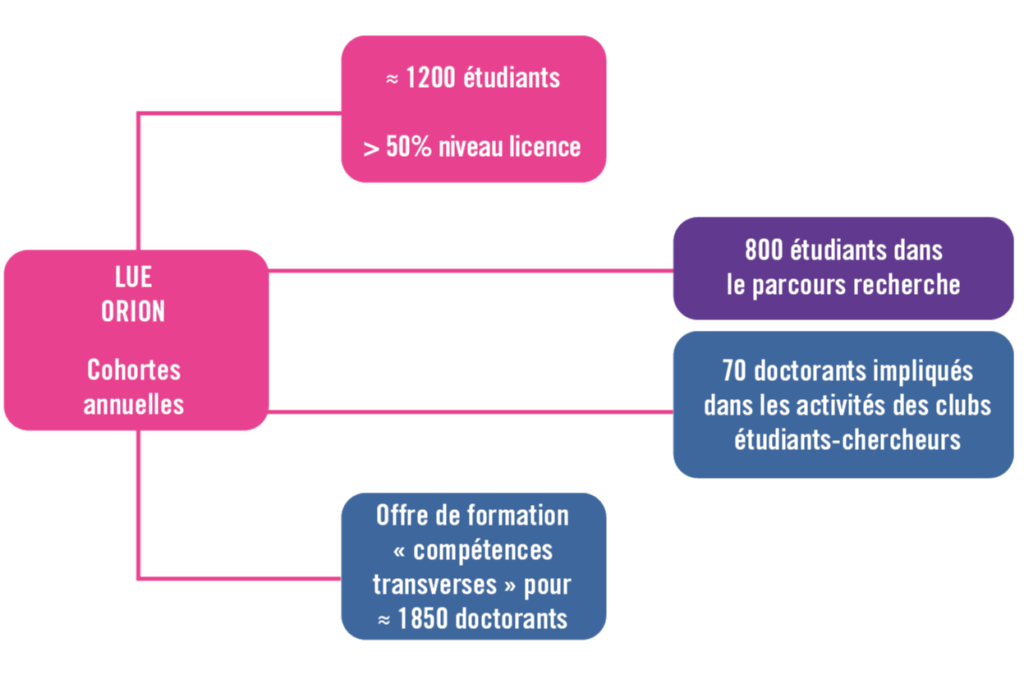 Schéma de la 
composition de la communauté ORION : 1200 étudiants qui participent à un dispositif ORION, dont plus de la moitié au niveau licence.