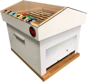 Une ruche interactive s&rsquo;installe &agrave; la BU Sant&eacute;