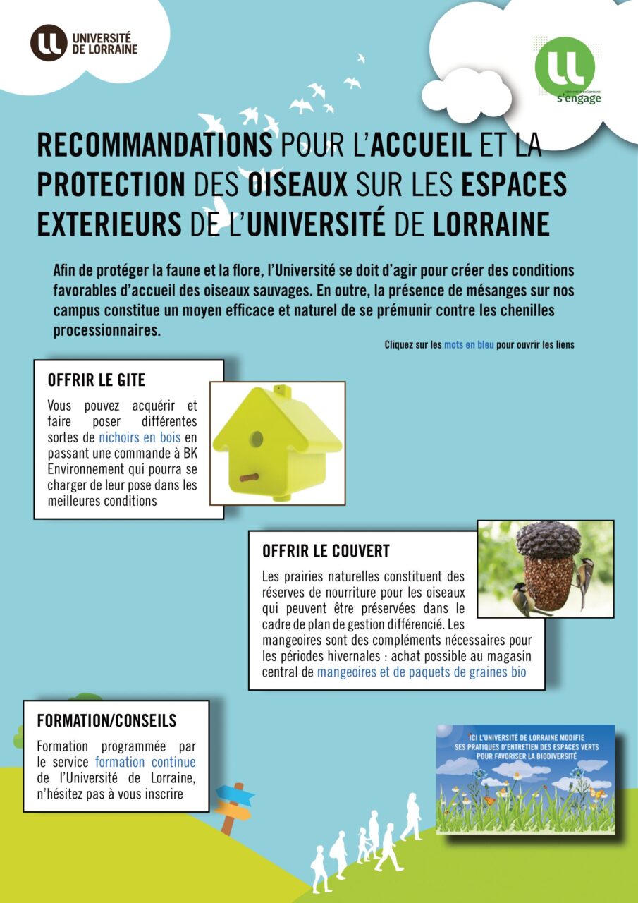 protection des oiseaux