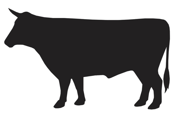 boeuf