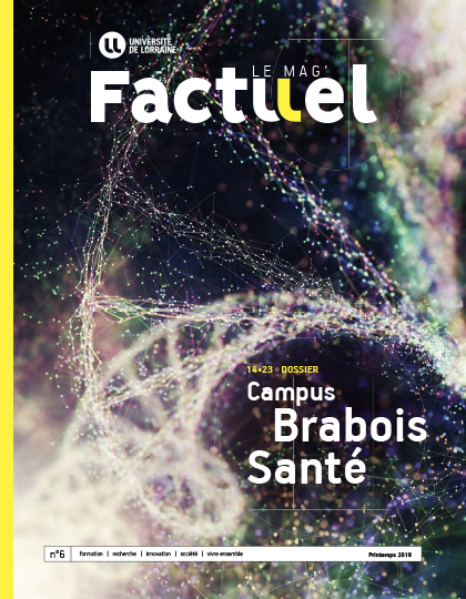 Couverture de Factuel numéro 6