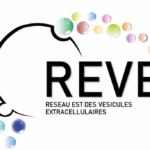 Le REVE où comment dépoussiérer les workshops