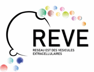 Le REVE où comment dépoussiérer les workshops