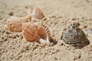 Fermeture des BU de Lorraine pendant l&#039;été 2025