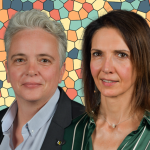Schéma directeur RSE : un levier stratégique pour l’Université de Lorraine