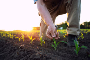 Agriculture : des formations digitales libres et gratuites