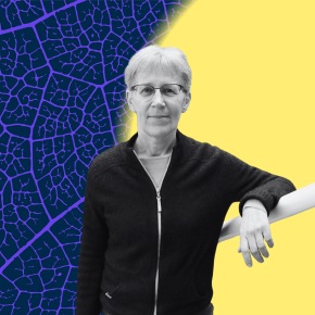 Claire Gardent rejoint l&rsquo;Acad&eacute;mie des Sciences