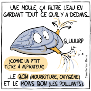 [Rencontre] Sant&eacute; et environnement : elles racontent leurs recherches en BD