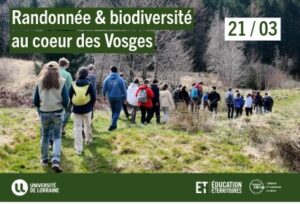 Randonn&eacute;e &amp; biodiversit&eacute;&nbsp;dans les Vosges&nbsp;–&nbsp;Transport&nbsp;inclus !