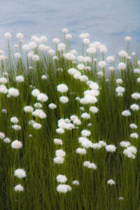 [Photo] Errance de Florentin Schaller