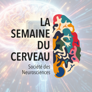 NeuroQuiz : que peut-on faire avec des interfaces cerveau-ordinateur ?