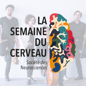 L&rsquo;odyss&eacute;e musicale du Cerveau