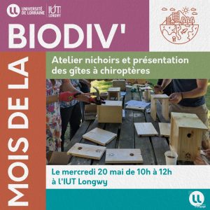 [Mois de la Biodiv&rsquo;] Atelier fabrication de nichoirs et pr&eacute;sentation des g&icirc;tes &agrave; chiropt&egrave;res !