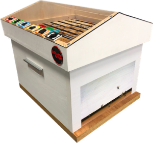 Une ruche interactive s&rsquo;installe &agrave; la BU Sant&eacute;