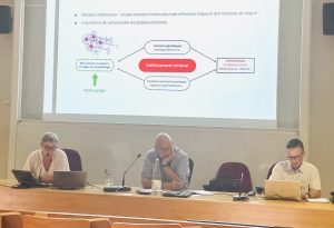 &laquo;&nbsp;&Eacute;mergence&nbsp;&raquo; : encourager de nouvelles dynamiques de recherche