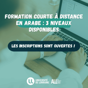 Formation courte &agrave; distance en arabe : apprenez la langue &agrave; votre rythme !