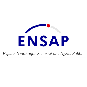 Élections professionnelles 2026 : comment utiliser l’ENSAP ?
